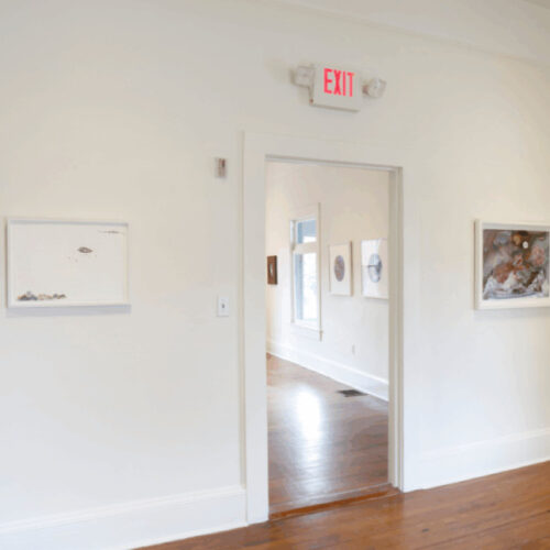 Preternatural exhibition hanging on walls in various rooms in Spruill Gallery
