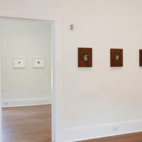 Preternatural exhibition hanging on walls in various rooms in Spruill Gallery