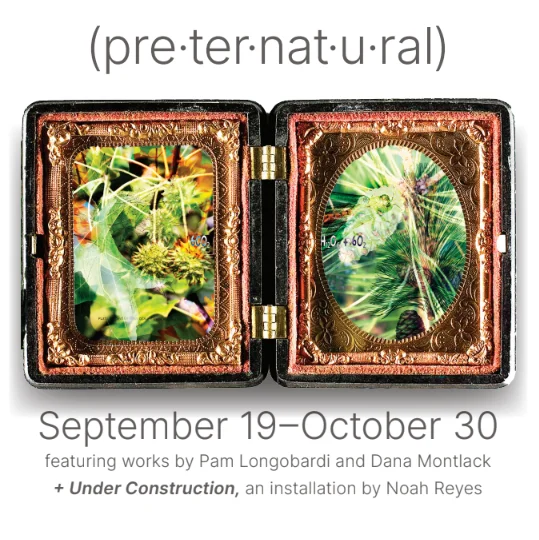 Flyer for Preternatural and Under Construction art show showing an open locket with greenery inside. The show featured work from Pam Longobardi, Dana Montlack and Noah Reyes.